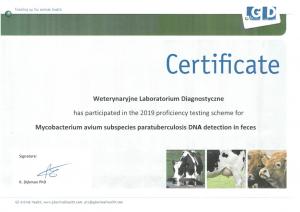 GD-Paratuberkuloza-DNA-detection-2019adeee9380103093038-1