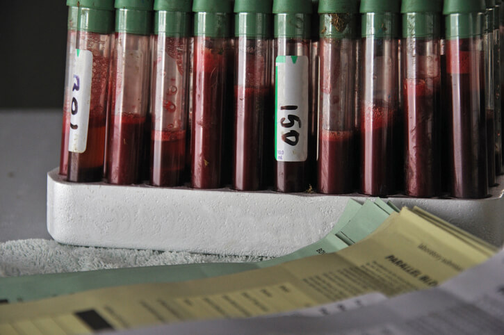 próbki z krwią bydła